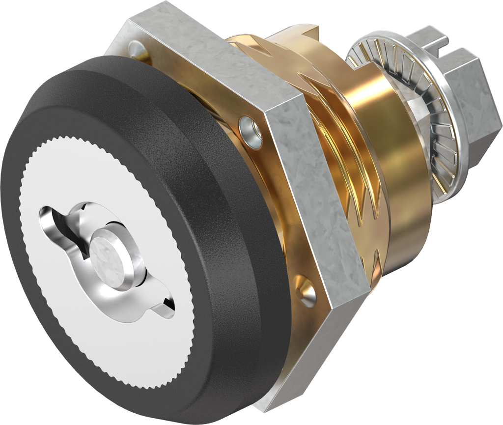 quart de tour de sécurité double barre 5 version droite avec écran anti-poussière, laiton et zamak époxy noir